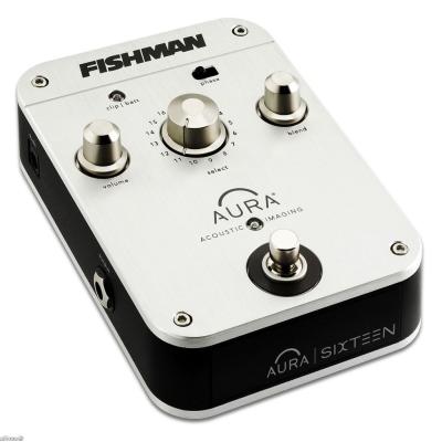 FISHMAN PRO-AIP-P16